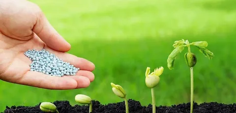 تصویر 3 از قیمت خرید  کودهای نانو ارگانیک  با کیفیت + فروش ویژه